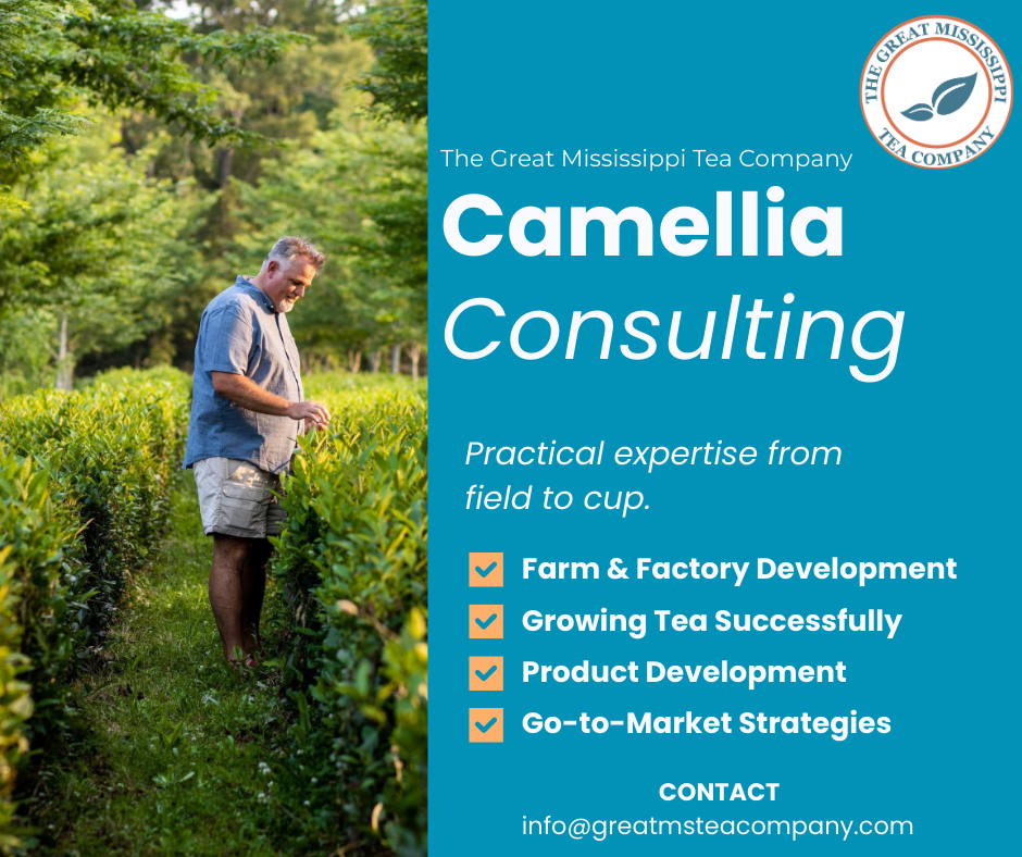 Camellia Consulting