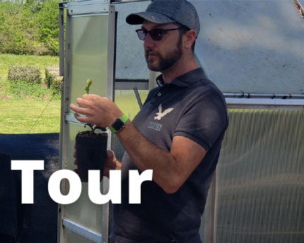 Picture of a man in sunglasses holding tea plant to a tour group outside