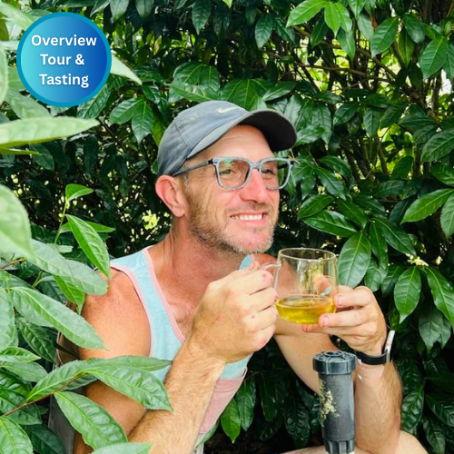 General And Tasting Tours