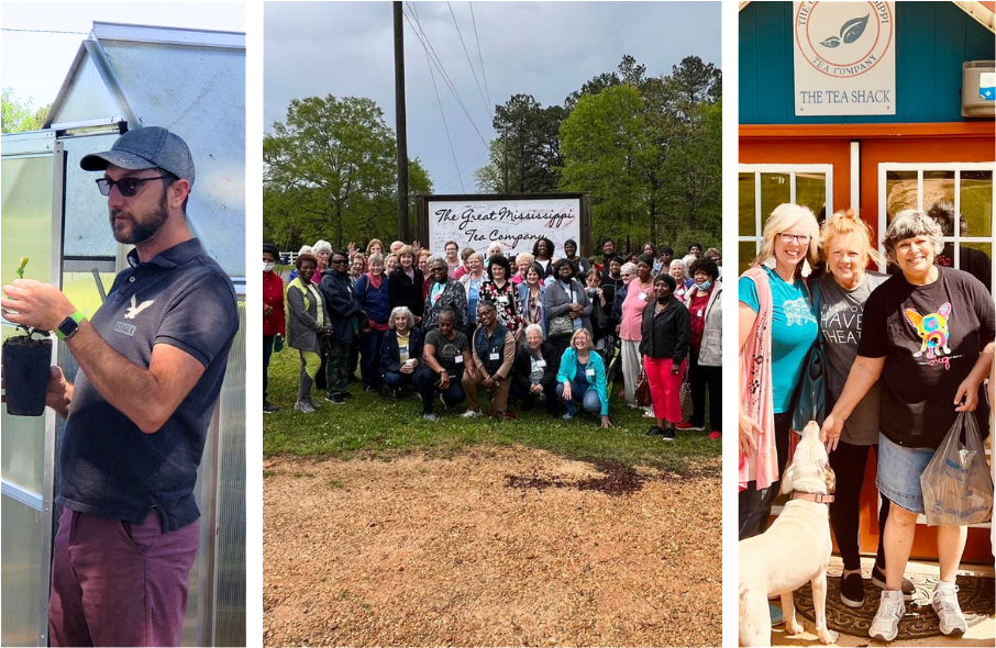 This image is of three pictures the first picture is of a man in sunglasses holding up a tea plant to a crowd outside, the second picture is a crowd of people posing for a picture outside with the company sign, and the last picture is of three women posing for a picture while petting a white dog outside The Tea Shack